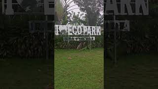 Eco park of Jharsuguda #EcoPark #Parkview #Ecopark #Jharsuguda #funPlace #JharsugudaPark #odishapark