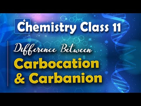 Difference Between Carbocation and Carbanion - Basic Principle and Techniques in Organic Chemistry