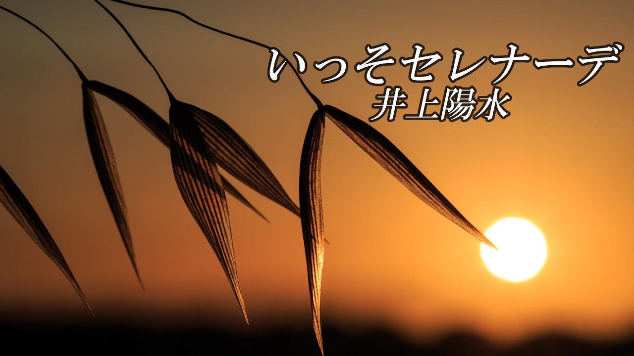 井上 陽水 いっそ セレナーデ