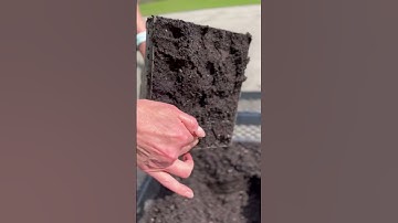 Soil Blocking in 40 Seconds or Less #diy #howto #garden #education #learning #gardening #grow