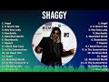 Shaggy 2024 MIX Greatest Hits - Angel, It Wasn