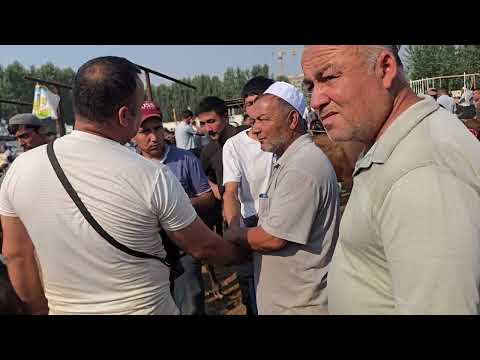 18 июня 2025 г.