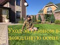 Уход за газоном в дождливую осень