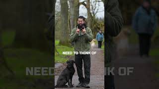 WHAT SOCIALISATION REALLY MEANS