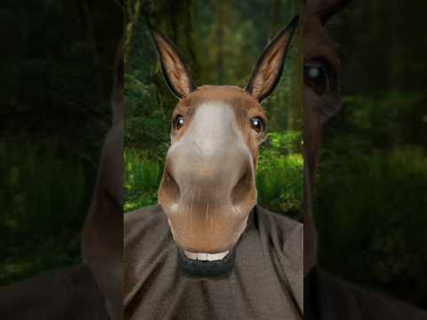 الحمار المسكين