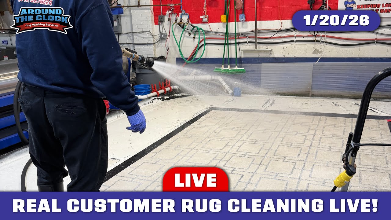 Real Rug Wipe LIVE Rug Washing for REAL Customers! #rugcleaning - YouTube