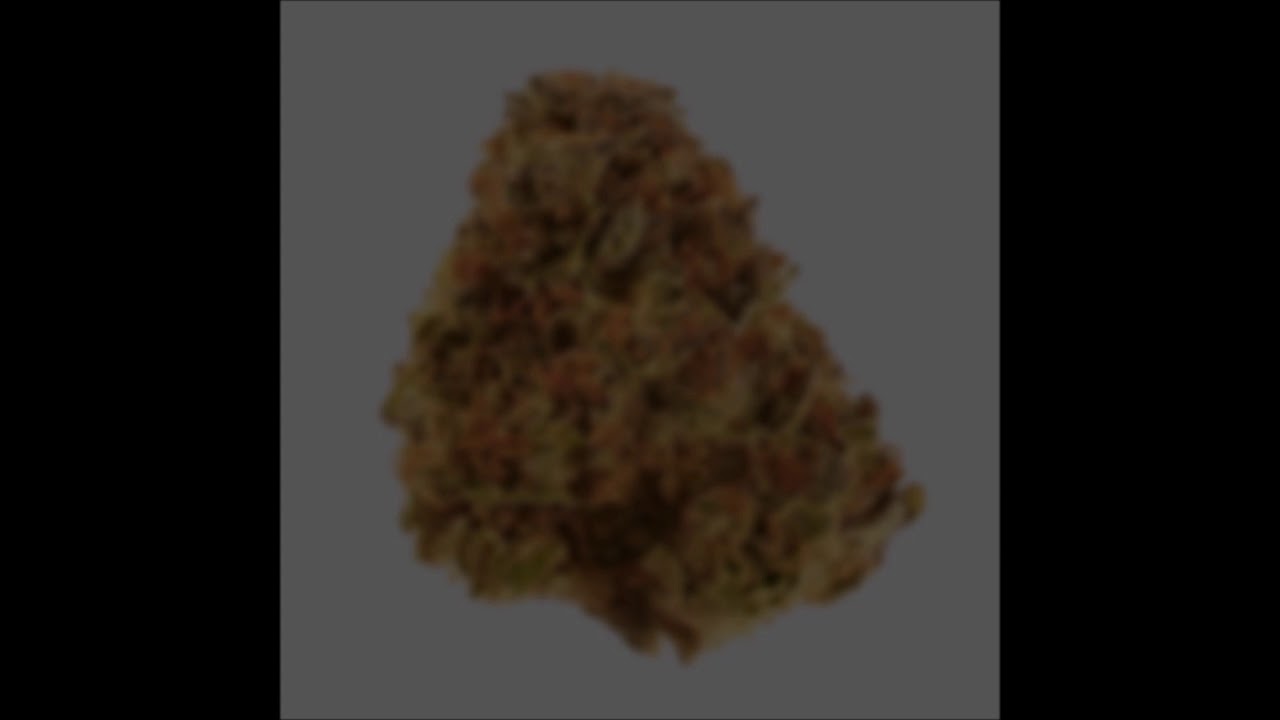 Photos of Medical Cannabis Slideshow