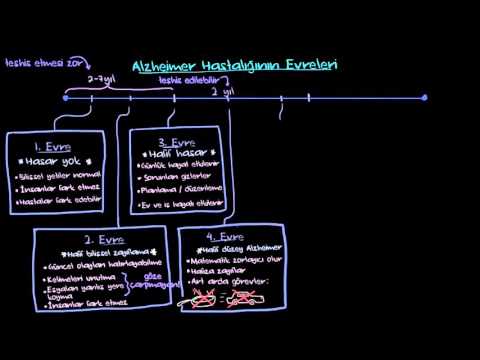 Demans ve Alzheimer Hastalıklarının Evreleri (Sağlık: Akıl Sağlığı) (Psikoloji / Akıl Sağlığı)