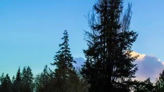 Time-Lapse Clouds 2 4K UHD (1-30-16)