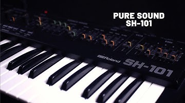 Pure Sound of Roland SH-101 (No Talking) | Classic Analog Synth Demo