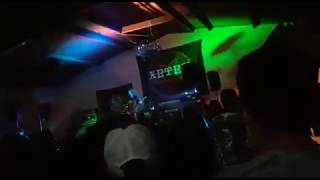 Cráneo - Gore Pig Swines (Influenza H1N1)