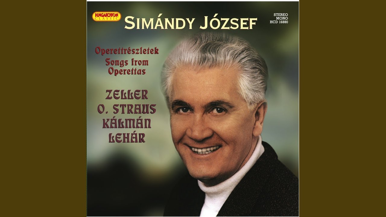 A montmarte-i ibolya - Ma önről álmodtam megint...