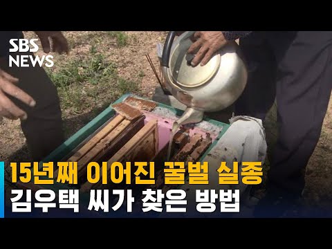 꿀벌의 실종 · 폐사 &#39;악순환&#39;…꿀벌 살릴 방법 찾았다 / SBS