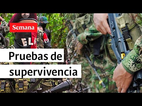 Revelan pruebas de supervivencia de dos militares secuestrados por ELN en Arauca