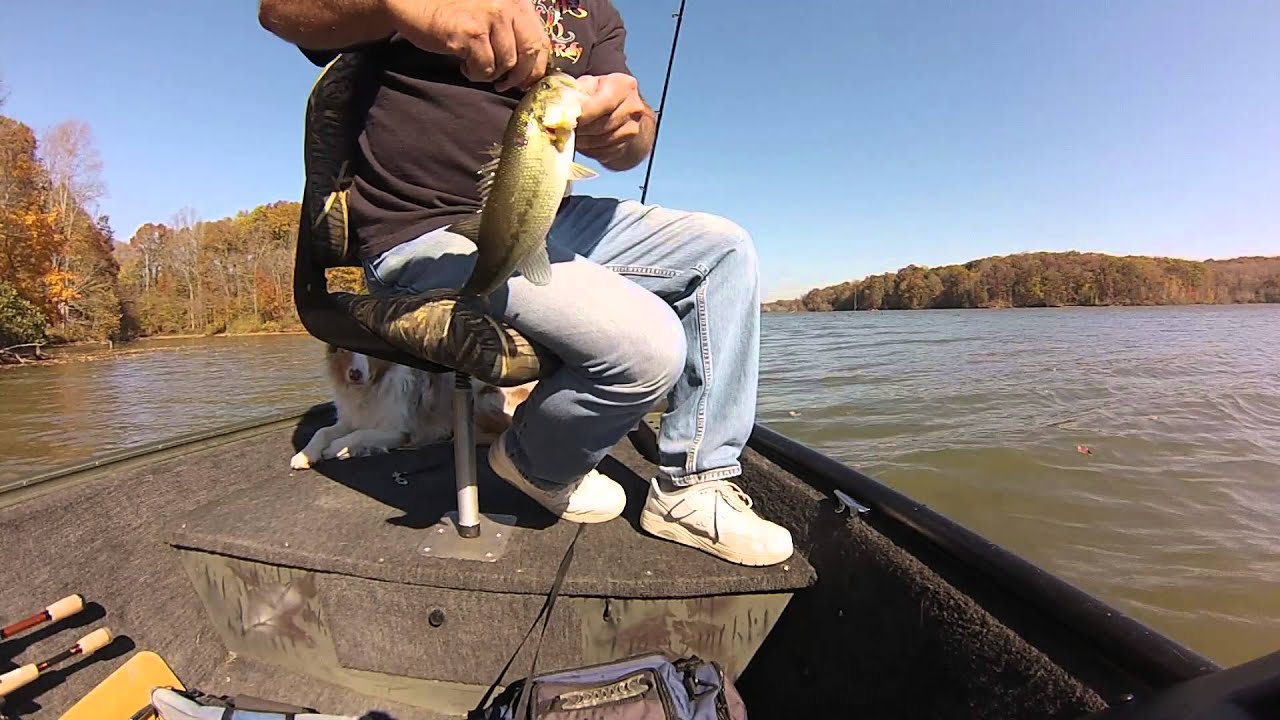 Lake Graham fishing 11 3 12 YouTube