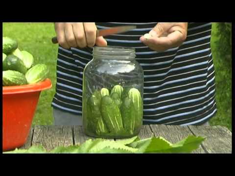 Video: Cómo Encurtir Deliciosos Pepinos En Un Frasco