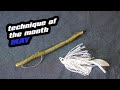 Technique of the month  may  shad spawn bass spawn combo