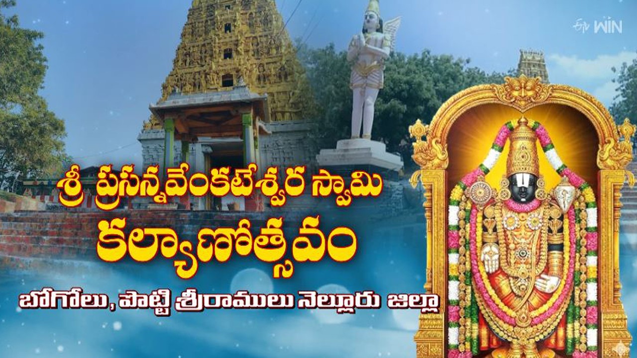 Sri Prasanna Venkateswara Swamy Kalyanotsavam, Bogolu - Potti Sriramulu Dist  | ETV Life Spiritual