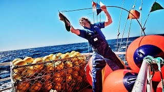 Life on a longline fishing boat