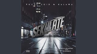 sekulate (feat. vocal zoid)