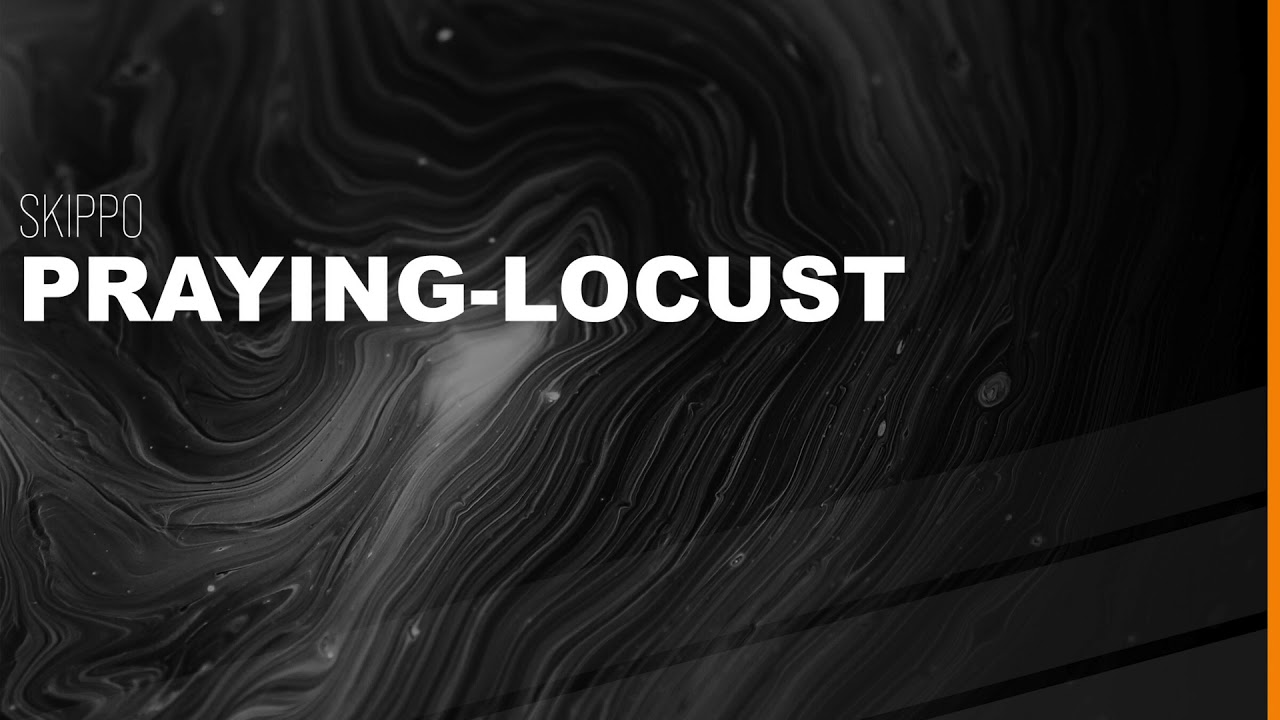 Skippo - Praying Locust (Original Mix)