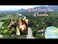 The last Orangutan of Sumatra Indonesia - Bukit Lawang 2017