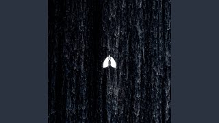 Fall from Grace (Radio Edit)