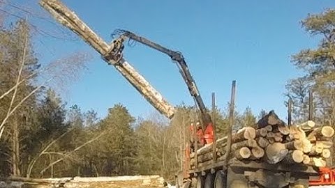 Log Truck Unloading Logs