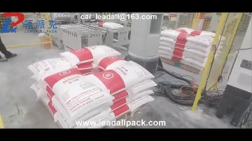 Single Column Palletizer, Vertical arm palletizer, Single station palletizer for 25kg bags in pallet