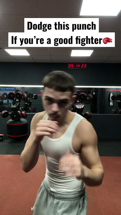 Dodge This Punch