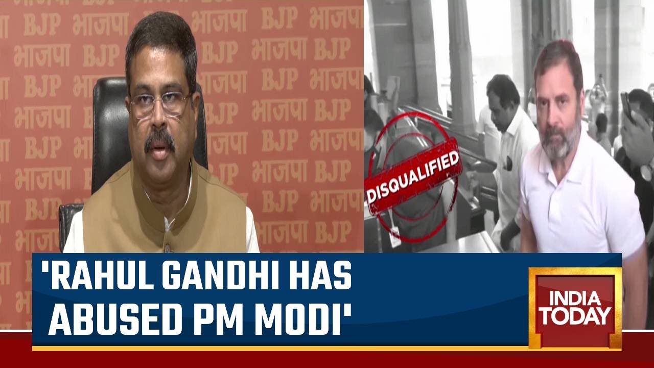 BJP Ministers Attack On Rahul After His Disqualification | Big Blow To Cong Ahead Of 2024 Polls