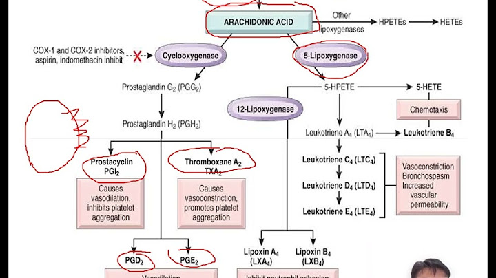 Arachidonic acid metabolites cytokines and chemokins là gì