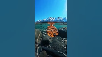 قران كريم ارح قلبك وسمعك