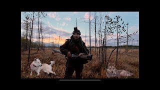 ОХОТНИЧИЙ ДЕНЬ В ТАЙГЕ.ЛЕСНАЯ ИЗБА.