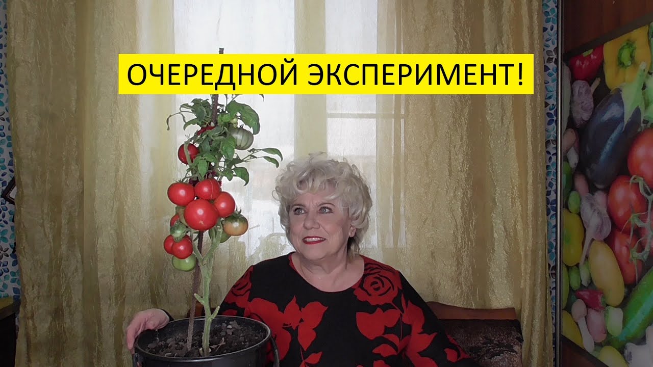 Ольга Чернова Новые Видео 2022 Года