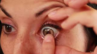 Download Lagu Adore lenses - Pearl Hazel MP3 Download Lagu Adore lenses - Pearl Hazel MP3