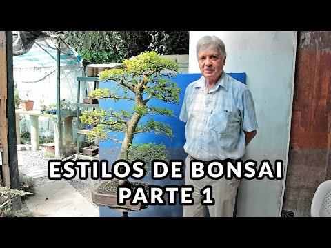 Vídeo: Bonsai, Estilos E Classificação - 1