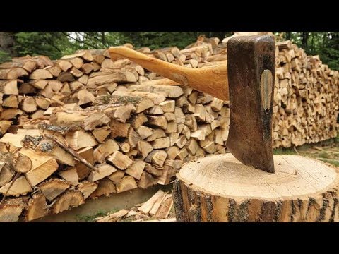 Заготовка и продажа дров как бизнес идея