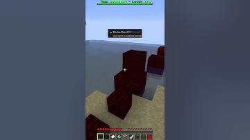 What is something you think every person should experience in their lifetime?