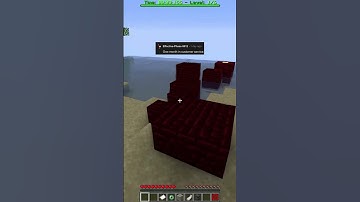 What is something you think every person should experience in their lifetime?