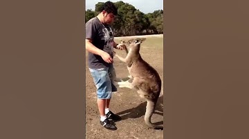 Fails Around the globe _ worldwide compilation of failure