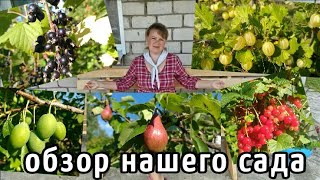 видео СЕЛЬСКОЕ ПОДВОРЬЕ   » Ваш сад