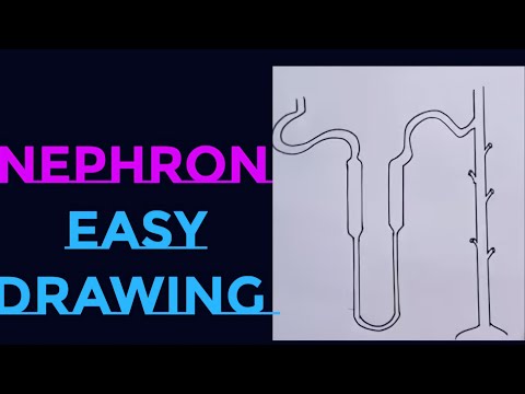 How to draw