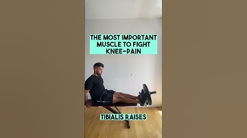 The most important muscle to fight knee pain