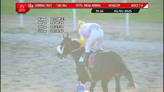 Vidéo de la course PMU FREE MANDATE H.