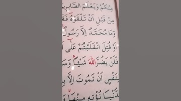 سورة ال عمران الأية 141 إلى 144 القارئ سعد الغامدي