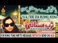 QAWALI SURIYA MASTANI YA ALI TERE SIVA MUSHKIL KUSHA BY SURYIA MASTANI BEST QAWALI NP GOLD