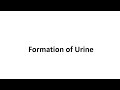 Excretion  formation of urine by dr t samuel david raj