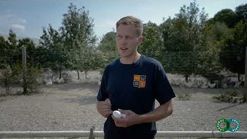 TÆT PÅ ÆG OG KYLLING