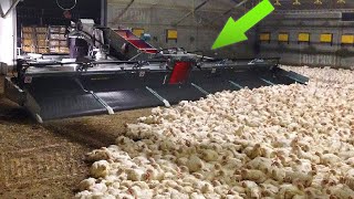 Amazing Modern Chicken Harvester - Make this GO VIRAL! - These Tools Save Farms Millions of Dollars!